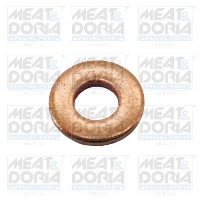 Seal Ring, injector